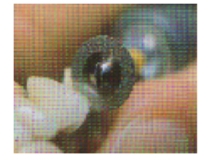 fig91a